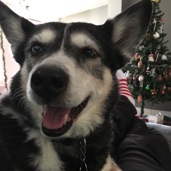 Meet your Posher, Jason - Picture 1 of 1